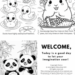 Coloring Book: 10 Cute Animals Vol 1.4: (Digital Download) - Image 4